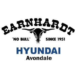 Earnhardt-Hyundai-300